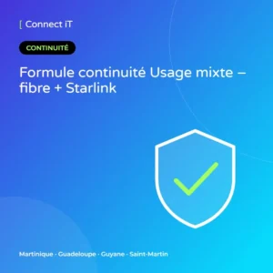Formule continuité Usage mixte – fibre + Starlink – CONNECT IT, Martinique