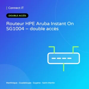 Routeur HPE Aruba Instant On SG1004 – double accès – CONNECT IT, Martinique