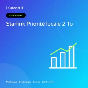 Starlink Priorité locale 2 To – CONNECT IT, Martinique