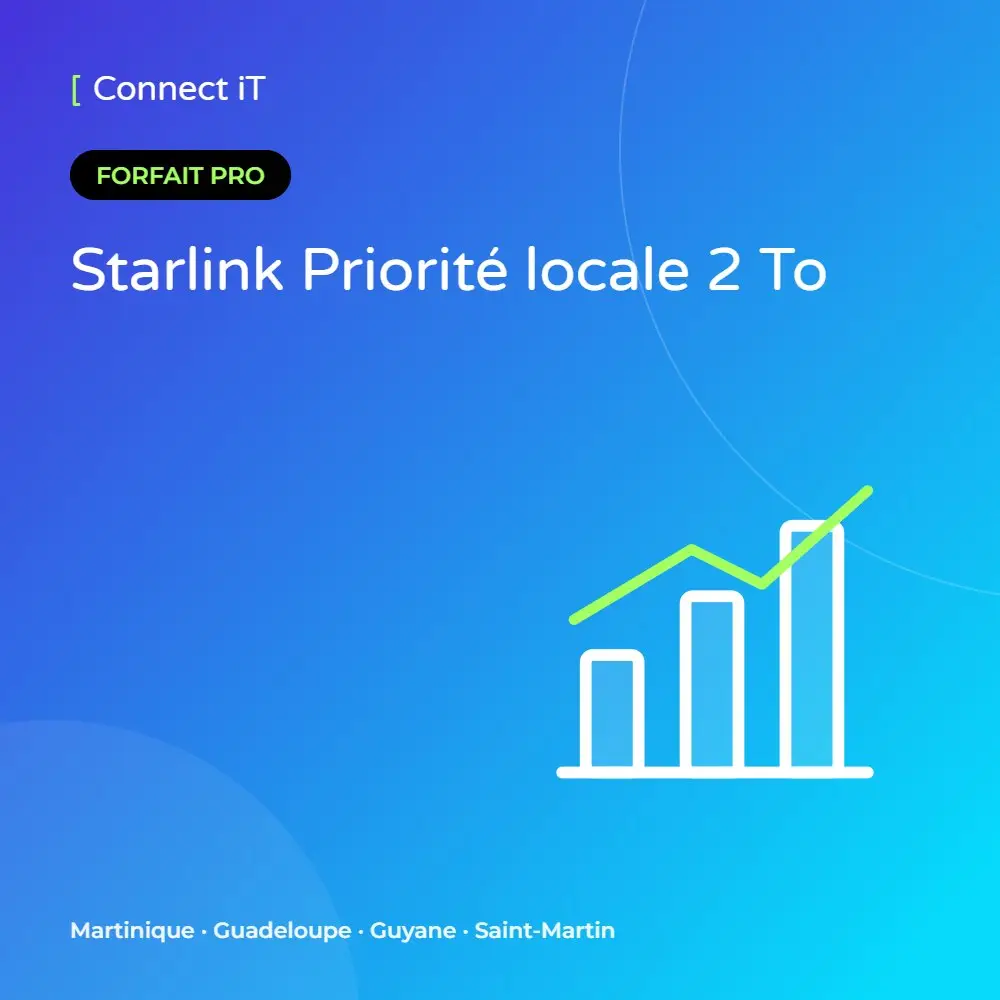Starlink Priorité locale 2 To – CONNECT IT, Martinique