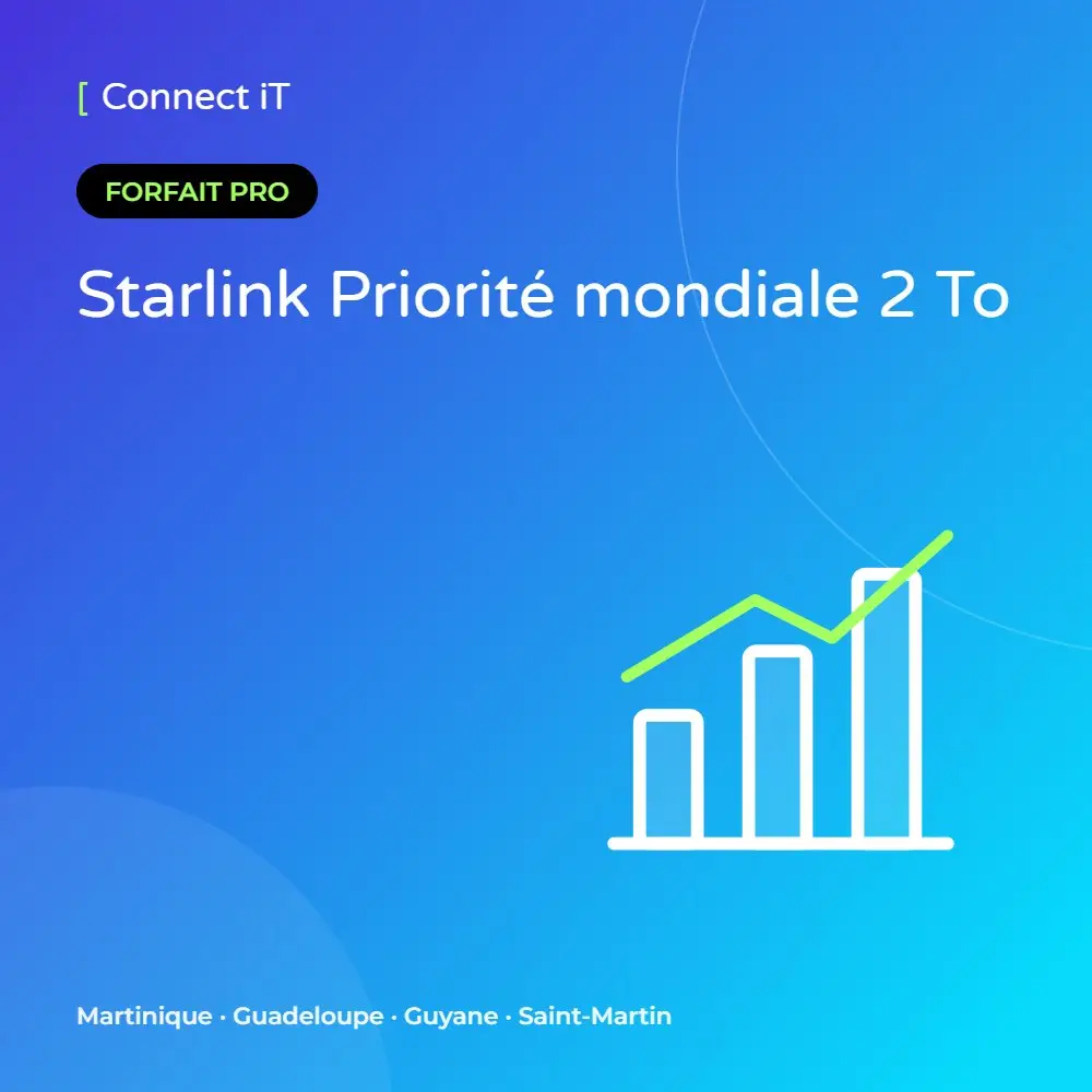 Starlink Priorité mondiale 2 To – CONNECT IT, Martinique